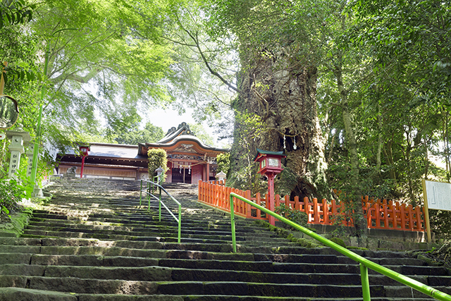 薩摩国一の宮 新田神社の写真