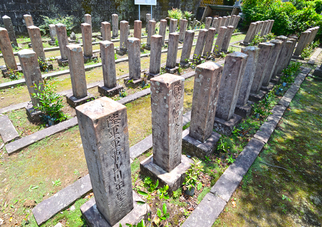 岩川官軍墓地の写真