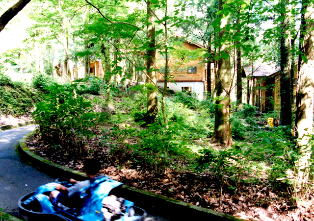 花房峡 憩いの森キャンプ場の写真