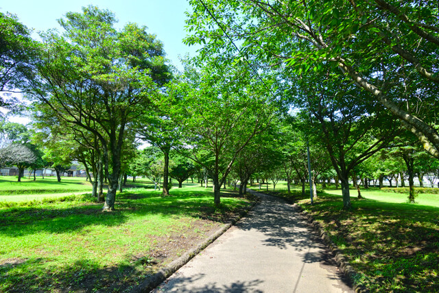 志布志大浜緑地公園の写真