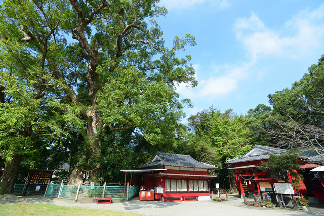 七狩長田貫神社（田崎神社）の写真